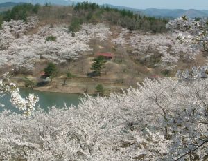 八塩いこいの森