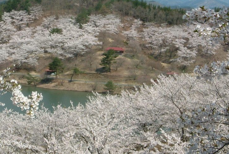 八塩いこいの森