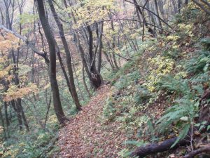 東光山登山道