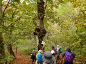 秋の八塩登山