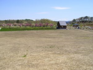 黄桜カップパークゴルフ