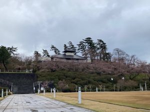 4/5の本荘公園の桜