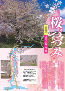 芋川さくらづつみチラシ修正版