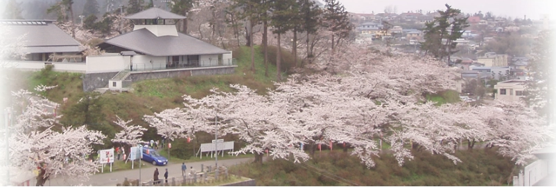 本荘さくらまつり