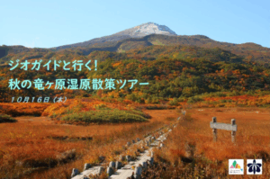 秋の竜ヶ原湿原散策ツアー画像